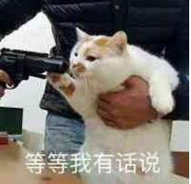 《绝地求生：全军出击》自动步枪选哪把好？M4A1与AKM分析