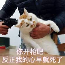 《绝地求生：全军出击》自动步枪选哪把好？M4A1与AKM分析