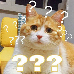 QQ飞车手游龙腾灯海赛道怎么跑？选择最佳路径得高分