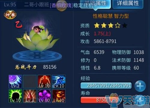 倩女幽魂手游魅者PVP带灵兽好还是不带好？魅者灵兽推荐