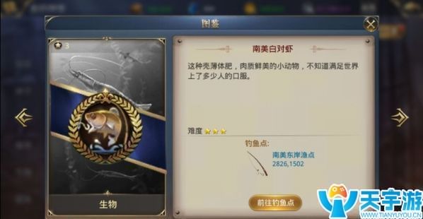 发现2.jpg