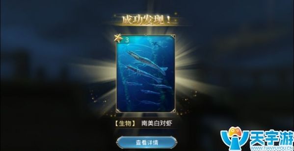 发现3.jpg