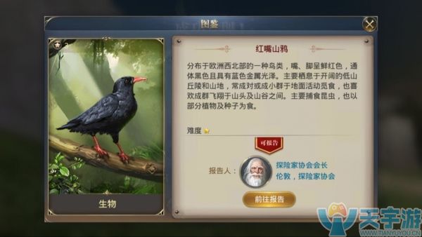 山乌3.jpg