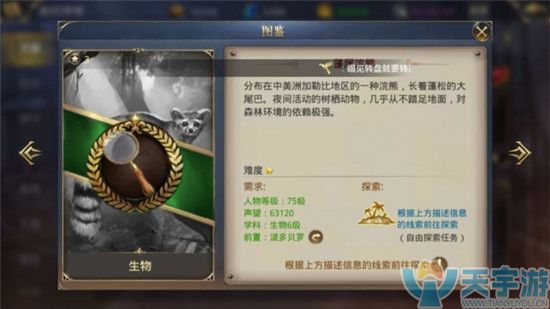 蓬尾浣熊