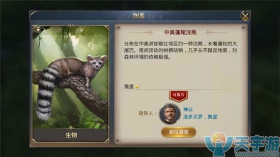 蓬尾浣熊