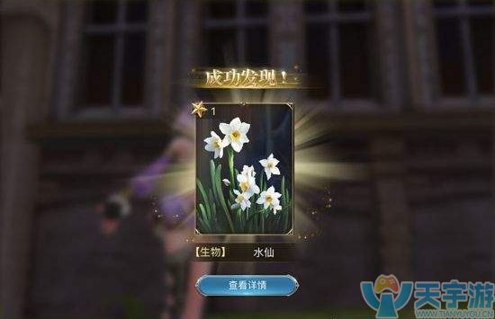 水仙