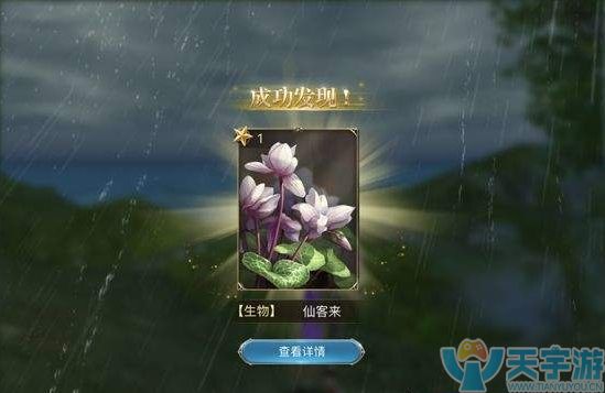 仙客来