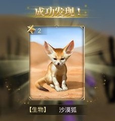 沙漠狐