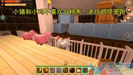 迷你世界小鸡怎么养才能长大