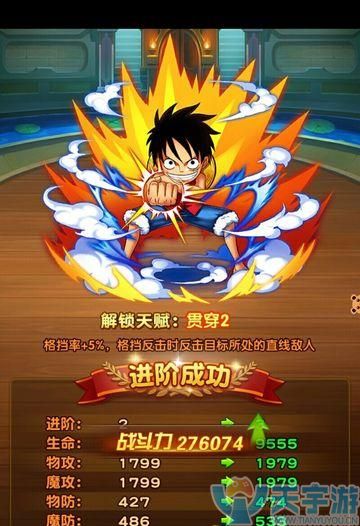 航海王强者之路6人红狗