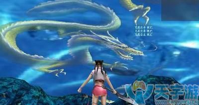 流星蝴蝶剑手游照丹青和墨仪怎么样，对比分析让您选择